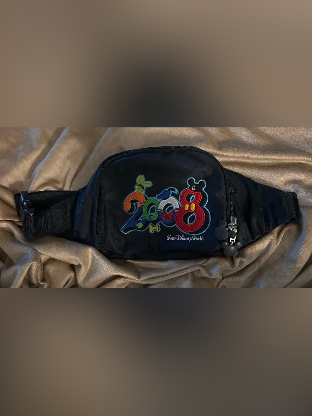 Walt Disney World 2008 waist pouch